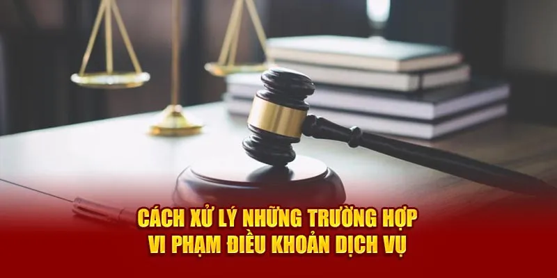 Cách xử lý những trường hợp vi phạm điều khoản dịch vụ