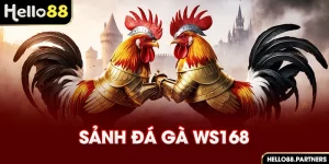 sảnh đá gà WS168